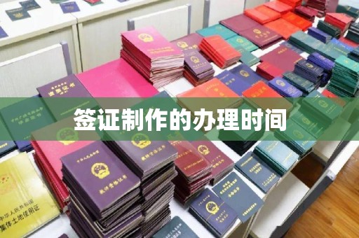 南港签证制作的办理时间